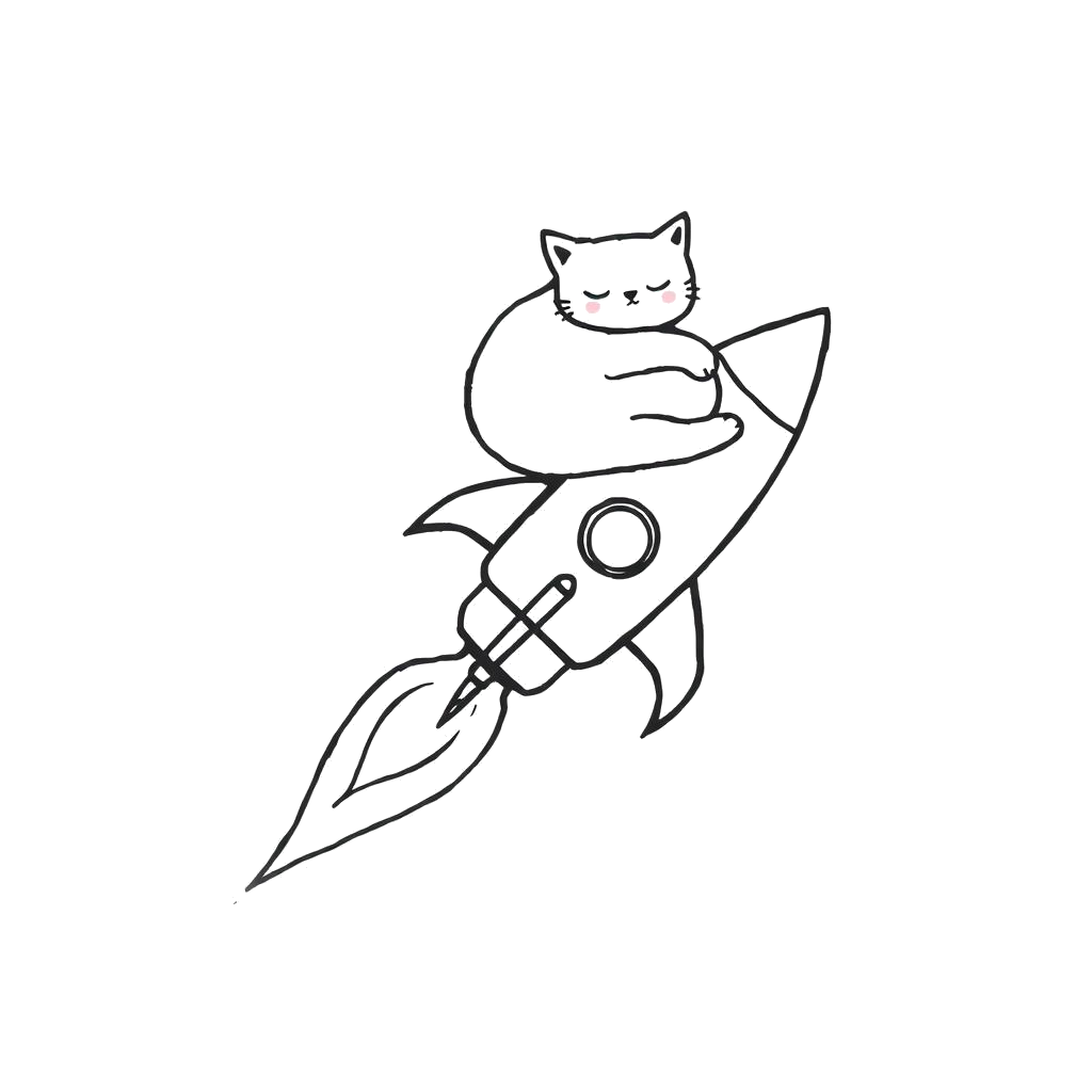 Sleeping cat on a rocket